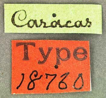 Media type: image; Entomology 18760   Aspect: labels